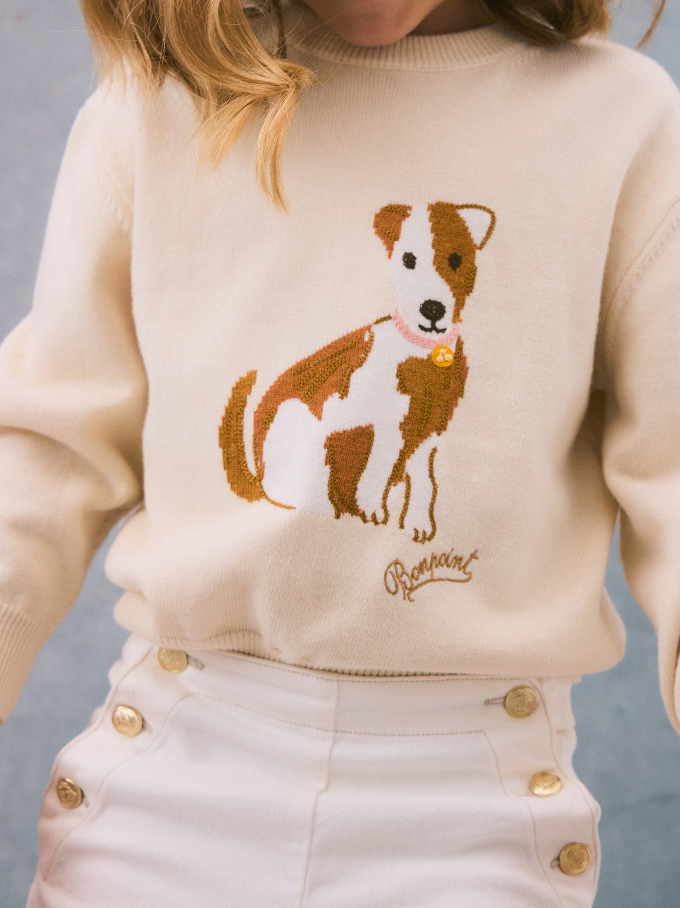 Anumati dog pattern sweater