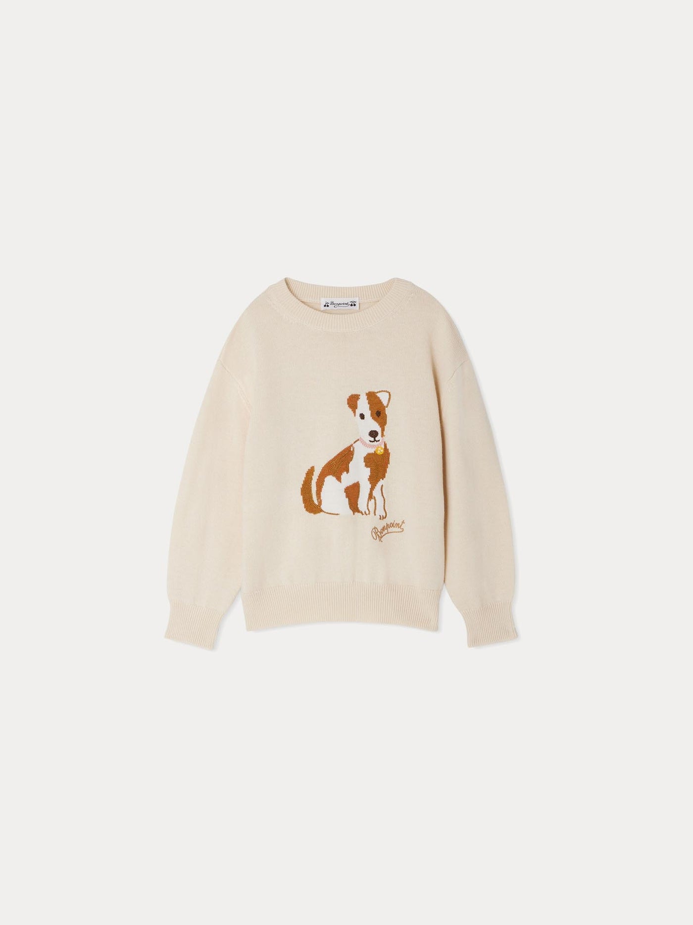 Anumati dog pattern sweater