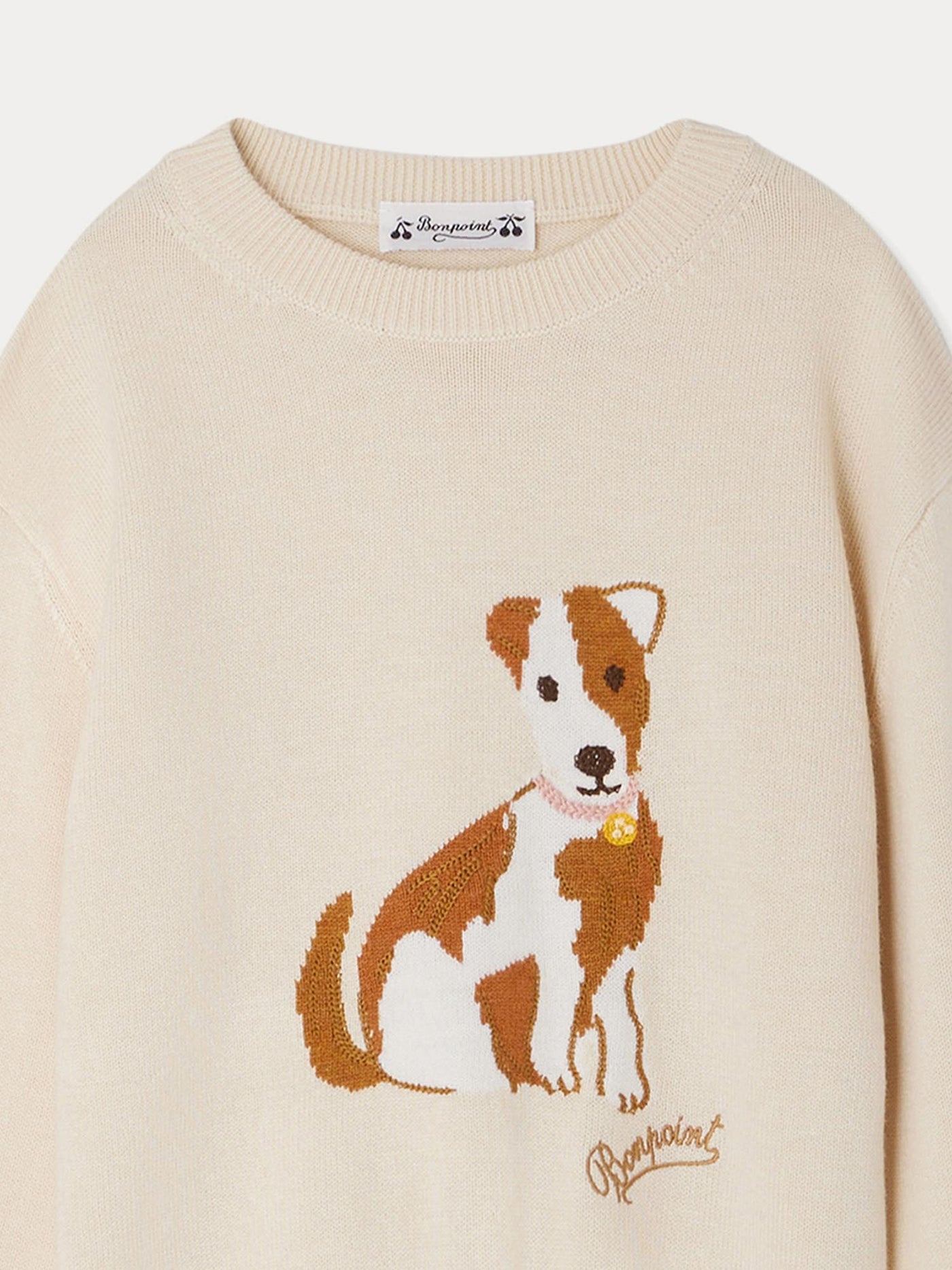 Anumati dog pattern sweater