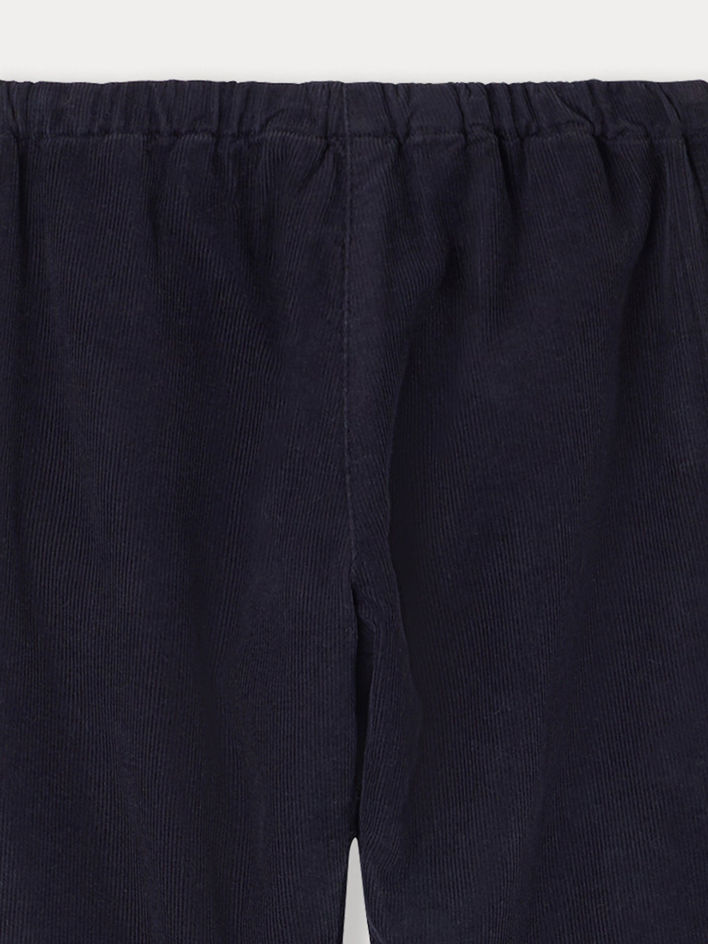 Dandy midnight blue velvet pants